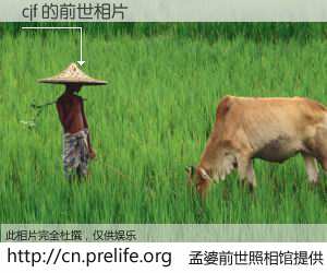 #孟婆前世照相馆# 【cjf 的前世相片】我们都曾从奈何桥上走过，喝下三碗忘川之水烹煮的孟婆汤，忘却了前尘旧事。孟婆前世照相馆，保存着你前世的数码相片。cjf 的前世相片，有图有真相：