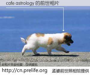 #孟婆前世照相馆# 【cafe astrology 的前世相片】我们都曾从奈何桥上走过，喝下三碗忘川之水烹煮的孟婆汤，忘却了前尘旧事。孟婆前世照相馆，保存着你前世的数码相片。cafe astrology 的前世相片，有图有真相：