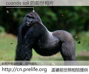 #孟婆前世照相馆# 【cuando sali 的前世相片】我们都曾从奈何桥上走过,喝下三碗忘川之水烹煮的孟婆汤,忘却了前尘旧事。孟婆前世照相馆,保存着你前世的数码相片。cuando sali 的前世相片,有图有真相: