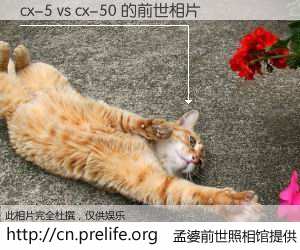 #孟婆前世照相馆# 【cx-5 vs cx-50 的前世相片】我们都曾从奈何桥上走过，喝下三碗忘川之水烹煮的孟婆汤，忘却了前尘旧事。孟婆前世照相馆，保存着你前世的数码相片。cx-5 vs cx-50 的前世相片，有图有真相：