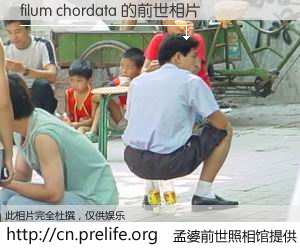 #孟婆前世照相馆# 【filum chordata 的前世相片】我们都曾从奈何桥上走过，喝下三碗忘川之水烹煮的孟婆汤，忘却了前尘旧事。孟婆前世照相馆，保存着你前世的数码相片。filum chordata 的前世相片，有图有真相：