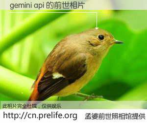 #孟婆前世照相馆# 【gemini api 的前世相片】我们都曾从奈何桥上走过，喝下三碗忘川之水烹煮的孟婆汤，忘却了前尘旧事。孟婆前世照相馆，保存着你前世的数码相片。gemini api 的前世相片，有图有真相：