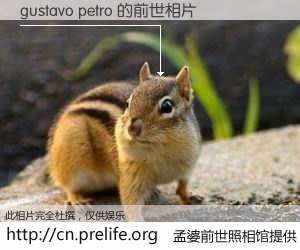#孟婆前世照相馆# 【gustavo petro 的前世相片】我们都曾从奈何桥上走过，喝下三碗忘川之水烹煮的孟婆汤，忘却了前尘旧事。孟婆前世照相馆，保存着你前世的数码相片。gustavo petro 的前世相片，有图有真相：