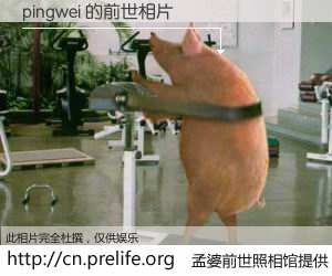 #孟婆前世照相馆# 【pingwei 的前世相片】我们都曾从奈何桥上走过，喝下三碗忘川之水烹煮的孟婆汤，忘却了前尘旧事。孟婆前世照相馆，保存着你前世的数码相片。pingwei 的前世相片，有图有真相：