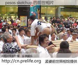#孟婆前世照相馆# 【pesas sketchup 的前世相片】我们都曾从奈何桥上走过，喝下三碗忘川之水烹煮的孟婆汤，忘却了前尘旧事。孟婆前世照相馆，保存着你前世的数码相片。pesas sketchup 的前世相片，有图有真相：