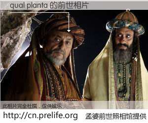 #孟婆前世照相馆# 【qual planta 的前世相片】我们都曾从奈何桥上走过，喝下三碗忘川之水烹煮的孟婆汤，忘却了前尘旧事。孟婆前世照相馆，保存着你前世的数码相片。qual planta 的前世相片，有图有真相：