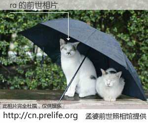 #孟婆前世照相馆# 【ra 的前世相片】我们都曾从奈何桥上走过，喝下三碗忘川之水烹煮的孟婆汤，忘却了前尘旧事。孟婆前世照相馆，保存着你前世的数码相片。ra 的前世相片，有图有真相：