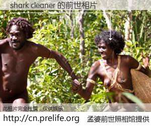#孟婆前世照相馆# 【shark cleaner 的前世相片】我们都曾从奈何桥上走过，喝下三碗忘川之水烹煮的孟婆汤，忘却了前尘旧事。孟婆前世照相馆，保存着你前世的数码相片。shark cleaner 的前世相片，有图有真相：