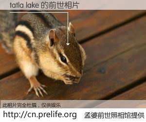 #孟婆前世照相馆# 【tatla lake 的前世相片】我们都曾从奈何桥上走过，喝下三碗忘川之水烹煮的孟婆汤，忘却了前尘旧事。孟婆前世照相馆，保存着你前世的数码相片。tatla lake 的前世相片，有图有真相：
