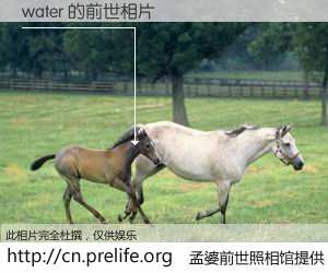 #孟婆前世照相馆# 【water 的前世相片】我们都曾从奈何桥上走过，喝下三碗忘川之水烹煮的孟婆汤，忘却了前尘旧事。孟婆前世照相馆，保存着你前世的数码相片。water 的前世相片，有图有真相：