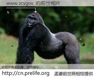 #孟婆前世照相馆# 【www.zcygov. 的前世相片】我们都曾从奈何桥上走过，喝下三碗忘川之水烹煮的孟婆汤，忘却了前尘旧事。孟婆前世照相馆，保存着你前世的数码相片。www.zcygov. 的前世相片，有图有真相：