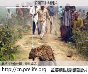 #孟婆前世照相馆# 【������ 的前世相片】我们都曾从奈何桥上走过，喝下三碗忘川之水烹煮的孟婆汤，忘却了前尘旧事。孟婆前世照相馆，保存着你前世的数码相片。������ 的前世相片，有图有真相：