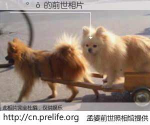 #孟婆前世照相馆# 【���� 的前世相片】我们都曾从奈何桥上走过，喝下三碗忘川之水烹煮的孟婆汤，忘却了前尘旧事。孟婆前世照相馆，保存着你前世的数码相片。���� 的前世相片，有图有真相：