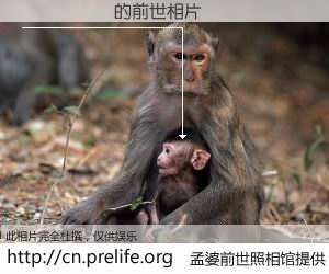 #孟婆前世照相馆# 【�¶��� 的前世相片】我们都曾从奈何桥上走过，喝下三碗忘川之水烹煮的孟婆汤，忘却了前尘旧事。孟婆前世照相馆，保存着你前世的数码相片。�¶��� 的前世相片，有图有真相：