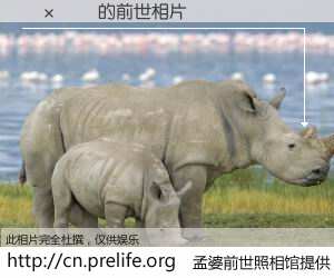 #孟婆前世照相馆# 【̷�Ͼ� 的前世相片】我们都曾从奈何桥上走过，喝下三碗忘川之水烹煮的孟婆汤，忘却了前尘旧事。孟婆前世照相馆，保存着你前世的数码相片。̷�Ͼ� 的前世相片，有图有真相：