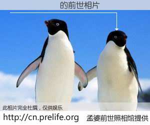 #孟婆前世照相馆# 【������ 的前世相片】我们都曾从奈何桥上走过，喝下三碗忘川之水烹煮的孟婆汤，忘却了前尘旧事。孟婆前世照相馆，保存着你前世的数码相片。������ 的前世相片，有图有真相：