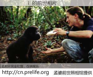 #孟婆前世照相馆# 【���ʺ� 的前世相片】我们都曾从奈何桥上走过，喝下三碗忘川之水烹煮的孟婆汤，忘却了前尘旧事。孟婆前世照相馆，保存着你前世的数码相片。���ʺ� 的前世相片，有图有真相：