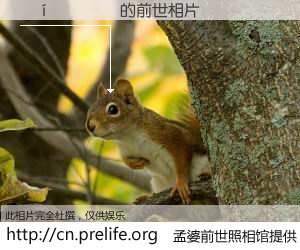 #åŸå©†å‰ä¸–照相馆# ã€ÅíÎÄÇÙ çš„å‰ä¸–相片】我们都曾从奈何桥上走过,å–下三碗忘å·ä¹‹æ°´çƒ¹ç…®çš„åŸå©†æ±¤ï¼Œå¿˜å´äº†å‰å°˜æ—§äº‹ã€‚åŸå©†å‰ä¸–照相馆,ä¿å˜ç€ä½ å‰ä¸–的数ç 相片。ÅíÎÄÇÙ çš„å‰ä¸–相片,有图有真相: