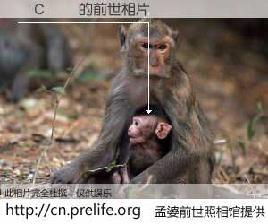 #孟婆前世照相馆# 【٤С�� 的前世相片】我们都曾从奈何桥上走过，喝下三碗忘川之水烹煮的孟婆汤，忘却了前尘旧事。孟婆前世照相馆，保存着你前世的数码相片。٤С�� 的前世相片，有图有真相：
