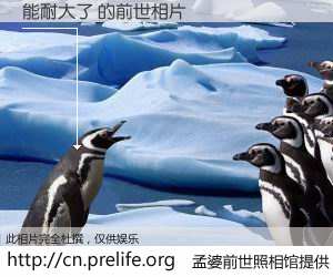 #孟婆前世照相馆# 【能耐大了 的前世相片】我们都曾从奈何桥上走过，喝下三碗忘川之水烹煮的孟婆汤，忘却了前尘旧事。孟婆前世照相馆，保存着你前世的数码相片。能耐大了 的前世相片，有图有真相：