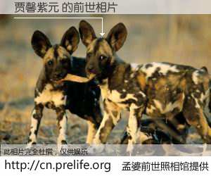#孟婆前世照相馆# 【贾馨紫元 的前世相片】我们都曾从奈何桥上走过，喝下三碗忘川之水烹煮的孟婆汤，忘却了前尘旧事。孟婆前世照相馆，保存着你前世的数码相片。贾馨紫元 的前世相片，有图有真相：