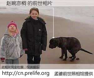 #孟婆前世照相馆# 【赵婉亦桐 的前世相片】我们都曾从奈何桥上走过，喝下三碗忘川之水烹煮的孟婆汤，忘却了前尘旧事。孟婆前世照相馆，保存着你前世的数码相片。赵婉亦桐 的前世相片，有图有真相：