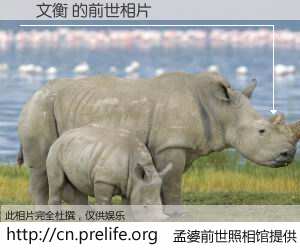 #孟婆前世照相馆# 【趙文衡 的前世相片】我们都曾从奈何桥上走过，喝下三碗忘川之水烹煮的孟婆汤，忘却了前尘旧事。孟婆前世照相馆，保存着你前世的数码相片。趙文衡 的前世相片，有图有真相：