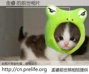 #孟婆前世照相馆# 【金睿 的前世相片】我们都曾从奈何桥上走过，喝下三碗忘川之水烹煮的孟婆汤，忘却了前尘旧事。孟婆前世照相馆，保存着你前世的数码相片。金睿 的前世相片，有图有真相：