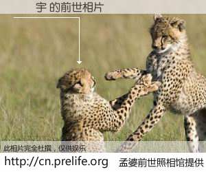 #孟婆前世照相馆# 【陳芃宇 的前世相片】我们都曾从奈何桥上走过，喝下三碗忘川之水烹煮的孟婆汤，忘却了前尘旧事。孟婆前世照相馆，保存着你前世的数码相片。陳芃宇 的前世相片，有图有真相：