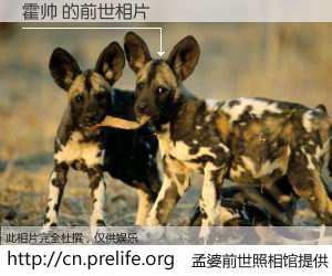 #孟婆前世照相馆# 【霍帅 的前世相片】我们都曾从奈何桥上走过，喝下三碗忘川之水烹煮的孟婆汤，忘却了前尘旧事。孟婆前世照相馆，保存着你前世的数码相片。霍帅 的前世相片，有图有真相：
