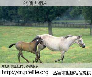 #孟婆前世照相馆# 【끄덕 짤 的前世相片】我们都曾从奈何桥上走过，喝下三碗忘川之水烹煮的孟婆汤，忘却了前尘旧事。孟婆前世照相馆，保存着你前世的数码相片。끄덕 짤 的前世相片，有图有真相：