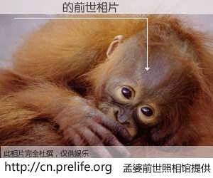 #孟婆前世照相馆# 【���ƽ 的前世相片】我们都曾从奈何桥上走过，喝下三碗忘川之水烹煮的孟婆汤，忘却了前尘旧事。孟婆前世照相馆，保存着你前世的数码相片。���ƽ 的前世相片，有图有真相：