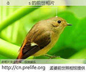 #孟婆前世照相馆# 【����s 的前世相片】我们都曾从奈何桥上走过，喝下三碗忘川之水烹煮的孟婆汤，忘却了前尘旧事。孟婆前世照相馆，保存着你前世的数码相片。����s 的前世相片，有图有真相：