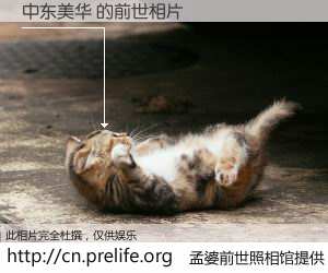 #孟婆前世照相馆# 【中东美华 的前世相片】我们都曾从奈何桥上走过，喝下三碗忘川之水烹煮的孟婆汤，忘却了前尘旧事。孟婆前世照相馆，保存着你前世的数码相片。中东美华 的前世相片，有图有真相：