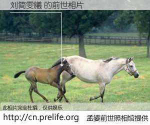 #孟婆前世照相馆# 【刘简雯曦 的前世相片】我们都曾从奈何桥上走过，喝下三碗忘川之水烹煮的孟婆汤，忘却了前尘旧事。孟婆前世照相馆，保存着你前世的数码相片。刘简雯曦 的前世相片，有图有真相：