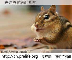 #孟婆前世照相馆# 【卢培杰 的前世相片】我们都曾从奈何桥上走过，喝下三碗忘川之水烹煮的孟婆汤，忘却了前尘旧事。孟婆前世照相馆，保存着你前世的数码相片。卢培杰 的前世相片，有图有真相：