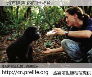 #孟婆前世照相馆# 【地方哈吉 的前世相片】我们都曾从奈何桥上走过，喝下三碗忘川之水烹煮的孟婆汤，忘却了前尘旧事。孟婆前世照相馆，保存着你前世的数码相片。地方哈吉 的前世相片，有图有真相：