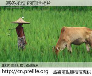 #孟婆前世照相馆# 【寒冬永恒 的前世相片】我们都曾从奈何桥上走过，喝下三碗忘川之水烹煮的孟婆汤，忘却了前尘旧事。孟婆前世照相馆，保存着你前世的数码相片。寒冬永恒 的前世相片，有图有真相：