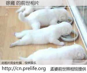 #孟婆前世照相馆# 【徐雍 的前世相片】我们都曾从奈何桥上走过，喝下三碗忘川之水烹煮的孟婆汤，忘却了前尘旧事。孟婆前世照相馆，保存着你前世的数码相片。徐雍 的前世相片，有图有真相：