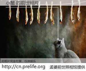 #孟婆前世照相馆# 【小蟹 的前世相片】我们都曾从奈何桥上走过，喝下三碗忘川之水烹煮的孟婆汤，忘却了前尘旧事。孟婆前世照相馆，保存着你前世的数码相片。小蟹 的前世相片，有图有真相：