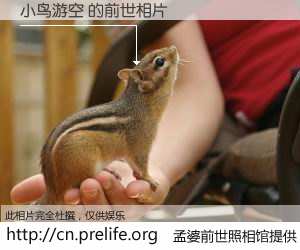#孟婆前世照相馆# 【小鸟游空 的前世相片】我们都曾从奈何桥上走过，喝下三碗忘川之水烹煮的孟婆汤，忘却了前尘旧事。孟婆前世照相馆，保存着你前世的数码相片。小鸟游空 的前世相片，有图有真相：