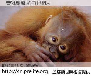 #孟婆前世照相馆# 【曹琳雅馨 的前世相片】我们都曾从奈何桥上走过，喝下三碗忘川之水烹煮的孟婆汤，忘却了前尘旧事。孟婆前世照相馆，保存着你前世的数码相片。曹琳雅馨 的前世相片，有图有真相：