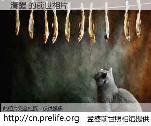 #孟婆前世照相馆# 【清醒 的前世相片】我们都曾从奈何桥上走过，喝下三碗忘川之水烹煮的孟婆汤，忘却了前尘旧事。孟婆前世照相馆，保存着你前世的数码相片。清醒 的前世相片，有图有真相：