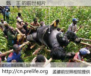 #孟婆前世照相馆# 【甄勵王 的前世相片】我们都曾从奈何桥上走过，喝下三碗忘川之水烹煮的孟婆汤，忘却了前尘旧事。孟婆前世照相馆，保存着你前世的数码相片。甄勵王 的前世相片，有图有真相：