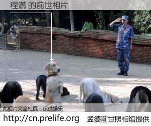 #孟婆前世照相馆# 【程潇 的前世相片】我们都曾从奈何桥上走过，喝下三碗忘川之水烹煮的孟婆汤，忘却了前尘旧事。孟婆前世照相馆，保存着你前世的数码相片。程潇 的前世相片，有图有真相：