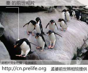 #孟婆前世照相馆# 【秦 的前世相片】我们都曾从奈何桥上走过，喝下三碗忘川之水烹煮的孟婆汤，忘却了前尘旧事。孟婆前世照相馆，保存着你前世的数码相片。秦 的前世相片，有图有真相：