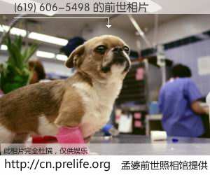 #孟婆前世照相馆# 【(619) 606-5498 的前世相片】我们都曾从奈何桥上走过，喝下三碗忘川之水烹煮的孟婆汤，忘却了前尘旧事。孟婆前世照相馆，保存着你前世的数码相片。(619) 606-5498 的前世相片，有图有真相：