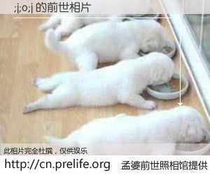 #孟婆前世照相馆# 【;j;o;j 的前世相片】我们都曾从奈何桥上走过，喝下三碗忘川之水烹煮的孟婆汤，忘却了前尘旧事。孟婆前世照相馆，保存着你前世的数码相片。;j;o;j 的前世相片，有图有真相：