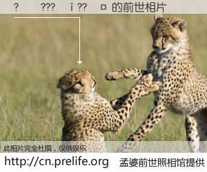 #孟婆前世照相馆# 【?��???��??�� 的前世相片】我们都曾从奈何桥上走过，喝下三碗忘川之水烹煮的孟婆汤，忘却了前尘旧事。孟婆前世照相馆，保存着你前世的数码相片。?��???��??�� 的前世相片，有图有真相：