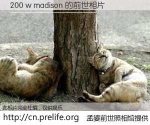 #孟婆前世照相馆# 【200 w madison 的前世相片】我们都曾从奈何桥上走过,喝下三碗忘川之水烹煮的孟婆汤,忘却了前尘旧事。孟婆前世照相馆,保存着你前世的数码相片。200 w madison 的前世相片,有图有真相: